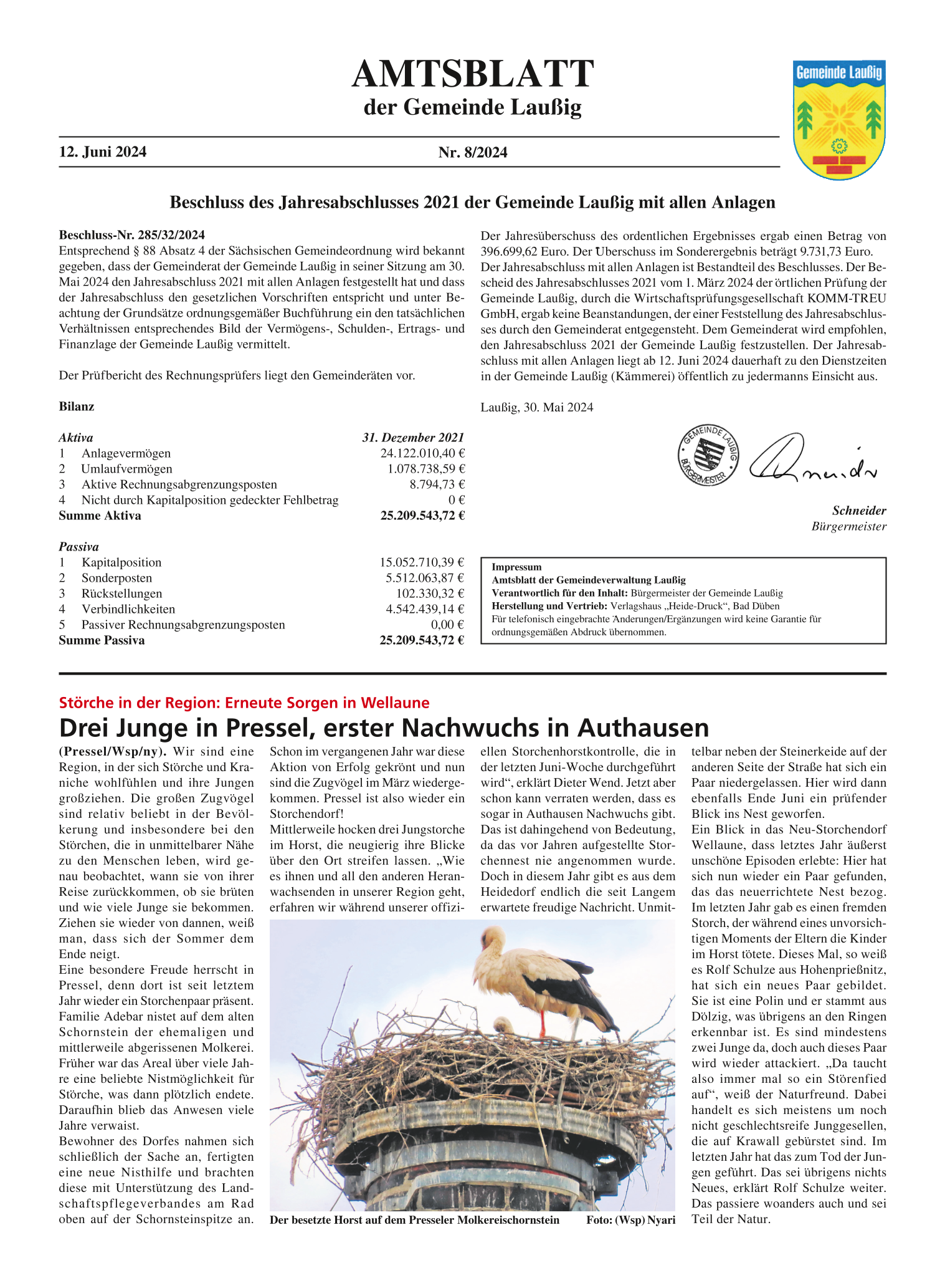 Amtsblatt Nr. 08/2024 vom 12.06.2024 Seite 1